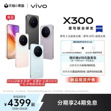 vivo x300